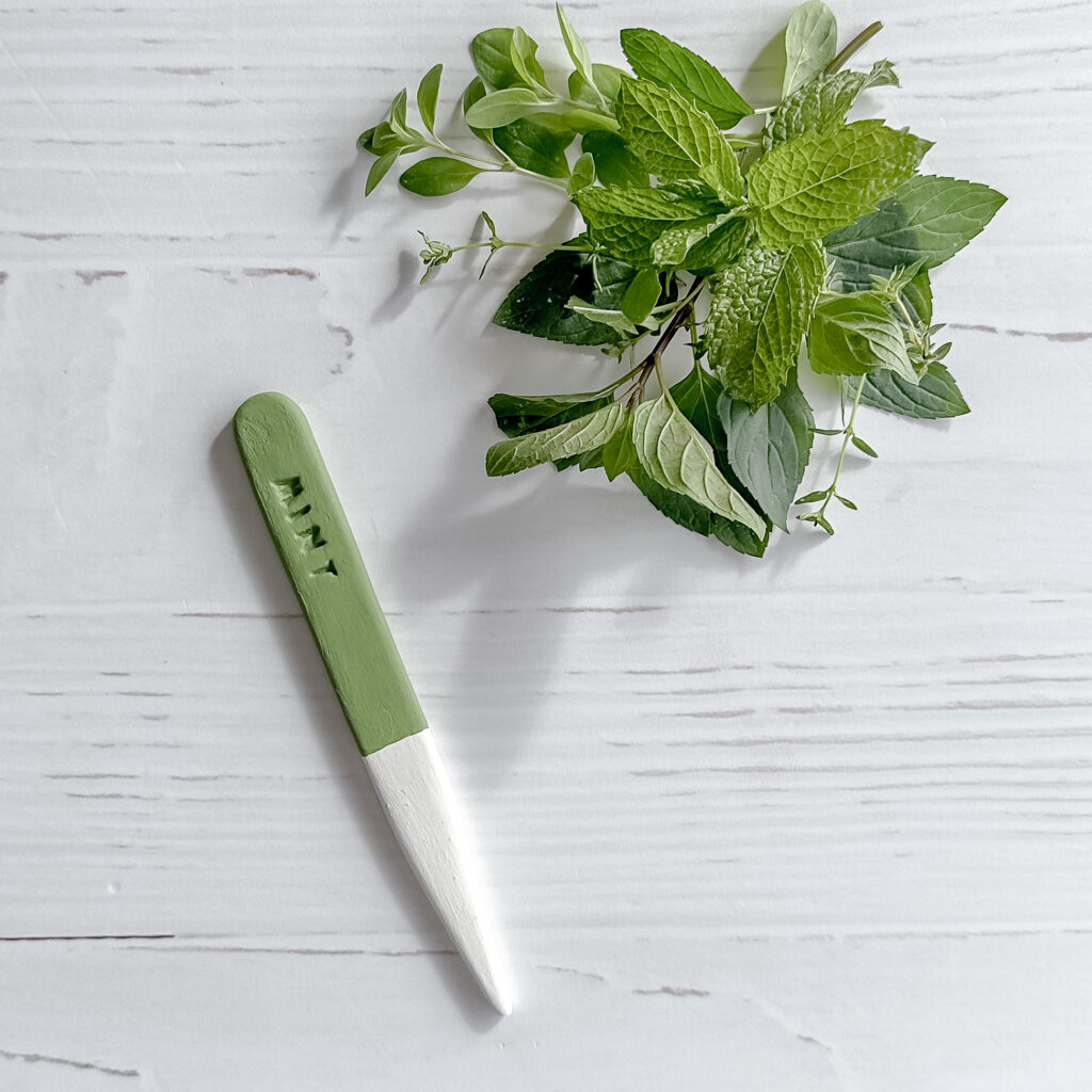 Plant Marker: Mint
